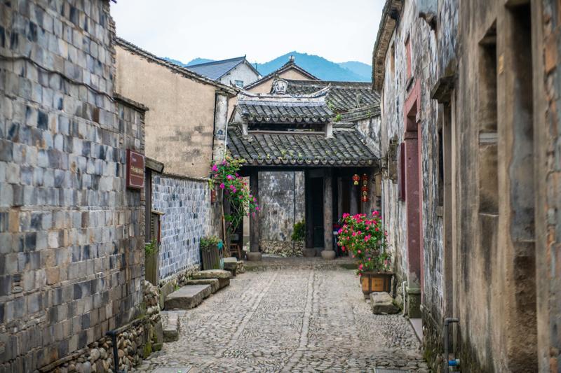 请问大神，这是什么植物？多谢啦